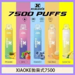 XIAOKE 梟客 7500口 拋棄式電子煙｜發光設計｜一次性霧化棒